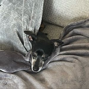 Meet your Posher, James